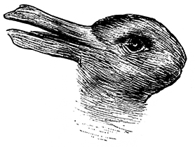 duck_rabbit